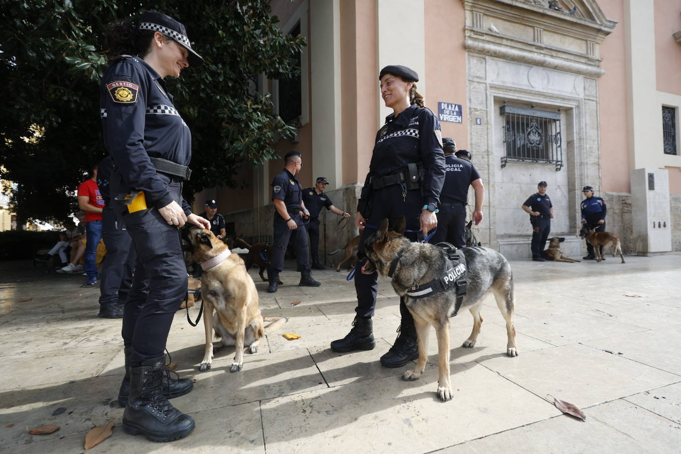 Fotos: Exhibición de unidades caninas de policías y bomberos en la plaza de la Virgen