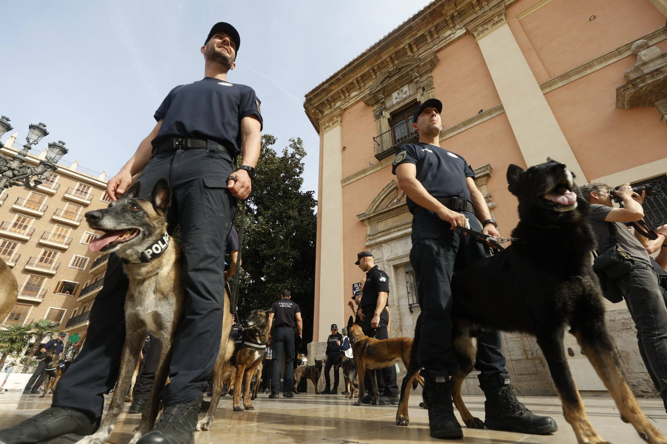 Fotos: Exhibición de unidades caninas de policías y bomberos en la plaza de la Virgen