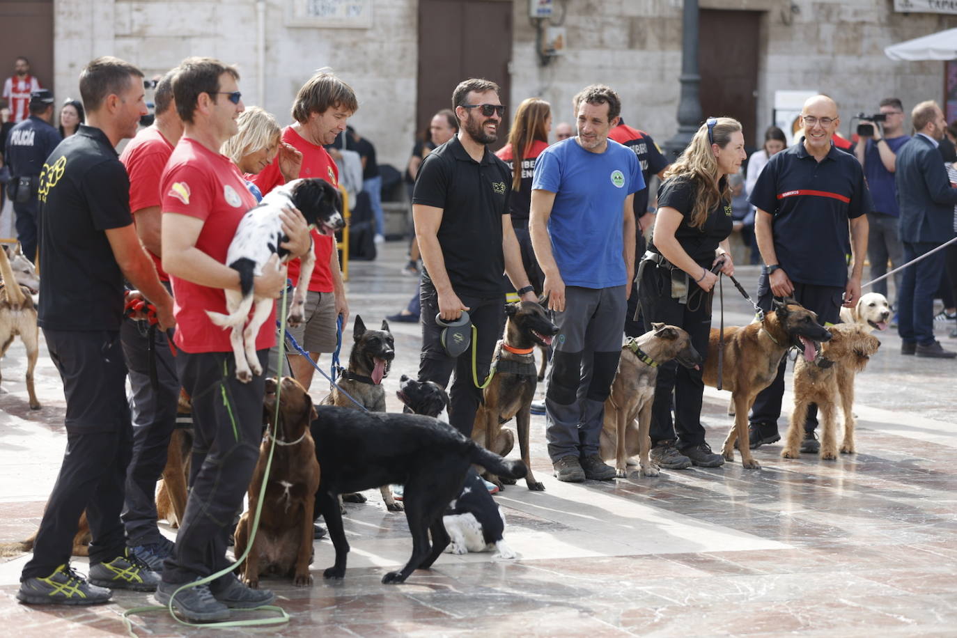 Fotos: Exhibición de unidades caninas de policías y bomberos en la plaza de la Virgen