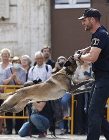 Imagen secundaria 2 - Exhibición en la plaza de la Virgen, rastreo de maletas y precio tras detectar droga. 