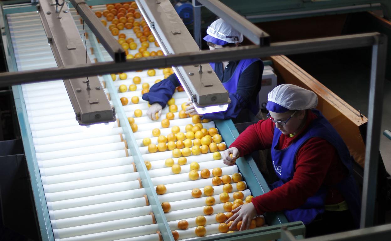 Trabajadores en una fábrica.