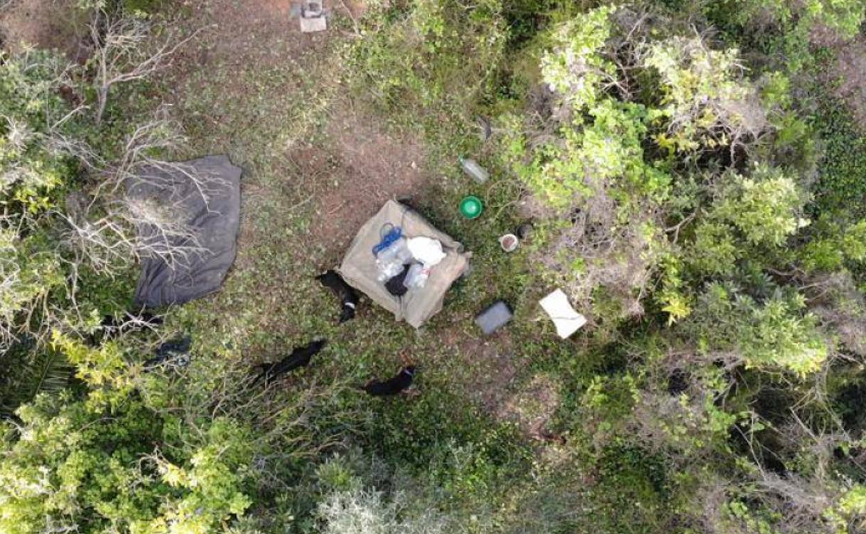 La imagen captada por el dron de la zona en las que estaban los perros. 