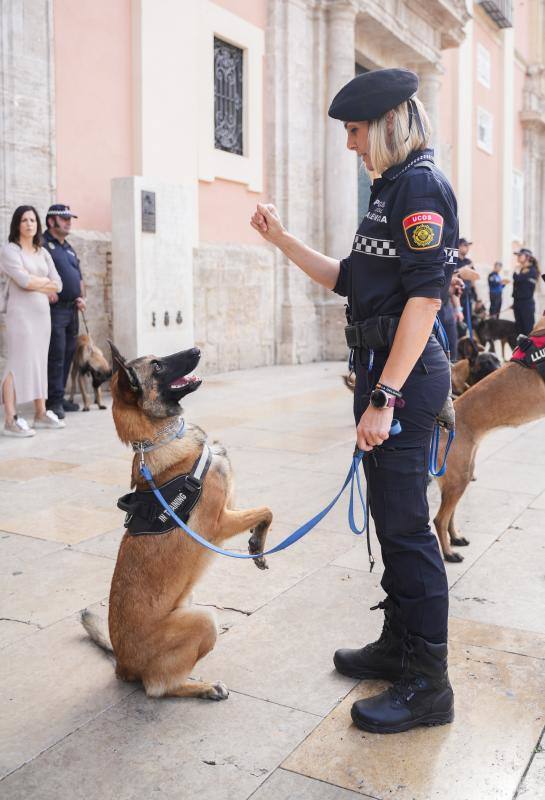 Fotos: Exhibición de unidades caninas de policías y bomberos en la plaza de la Virgen