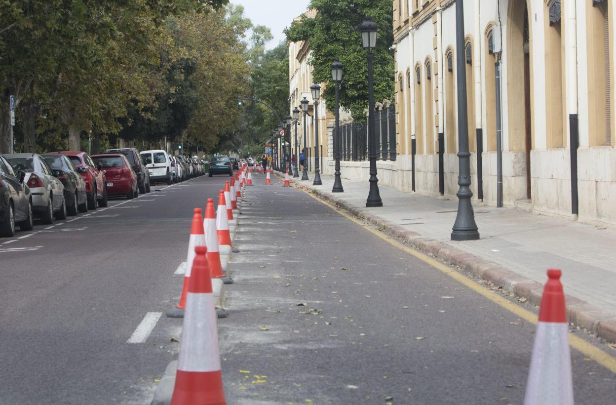 Obras en el primer tramo del carril bici de la Alameda. 