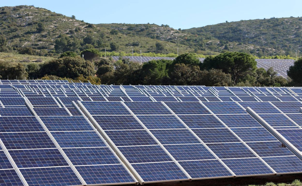 Plantas fotovoltaicas en la Comunitat | Las fotovoltaicas tienen en jaque 400 millones en avales