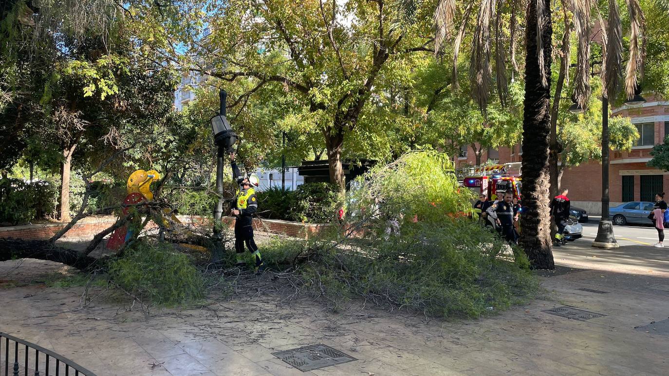 Una persona ha resultado herida y los bomberos han acordonado la zona de juegos infantiles afectada.