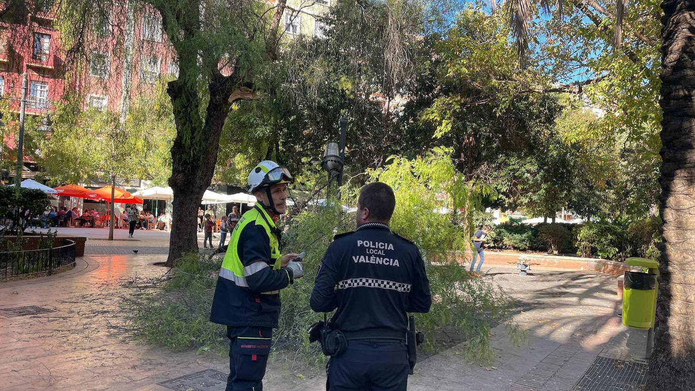 Una persona ha resultado herida y los bomberos han acordonado la zona de juegos infantiles afectada.