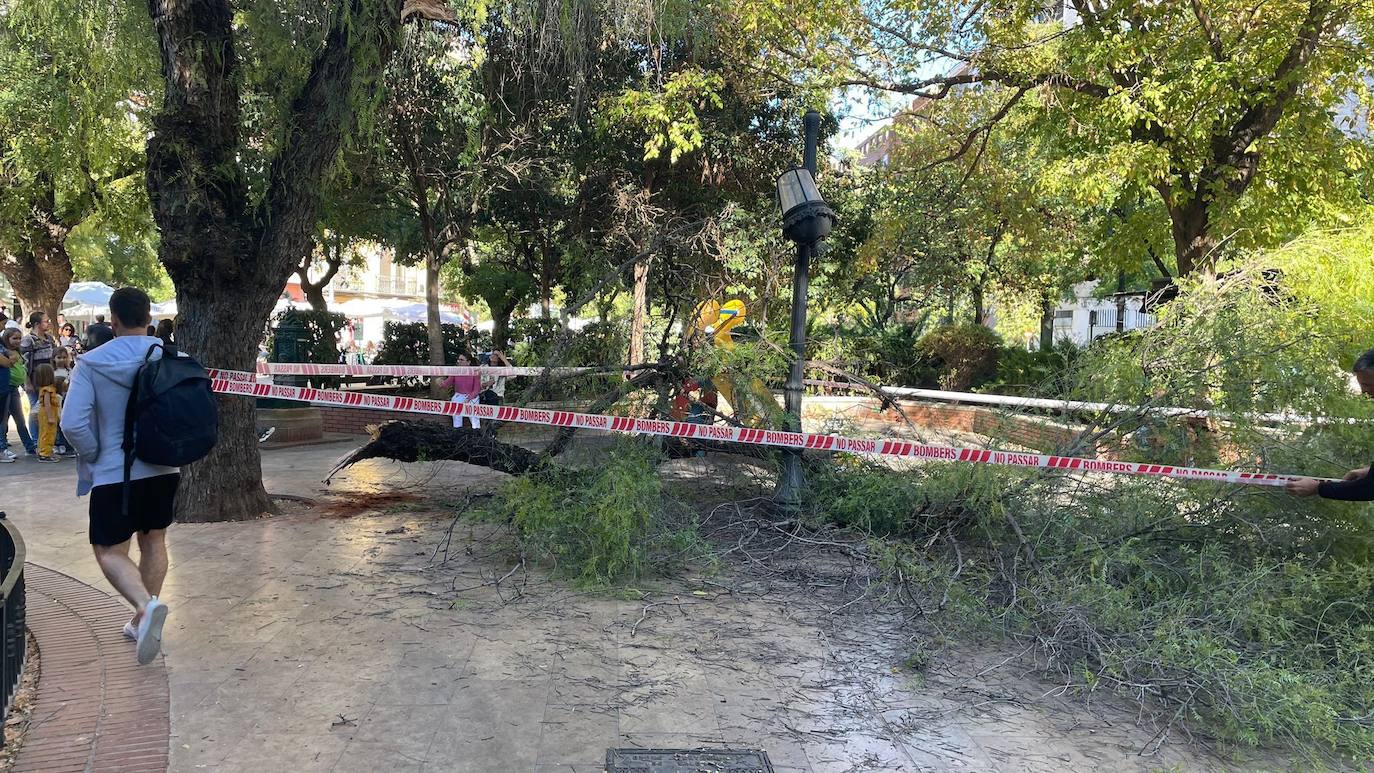 Una persona ha resultado herida y los bomberos han acordonado la zona de juegos infantiles afectada.