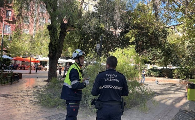 Bomberos y Policía Local inspeccionan la rama caída, este mediodía.