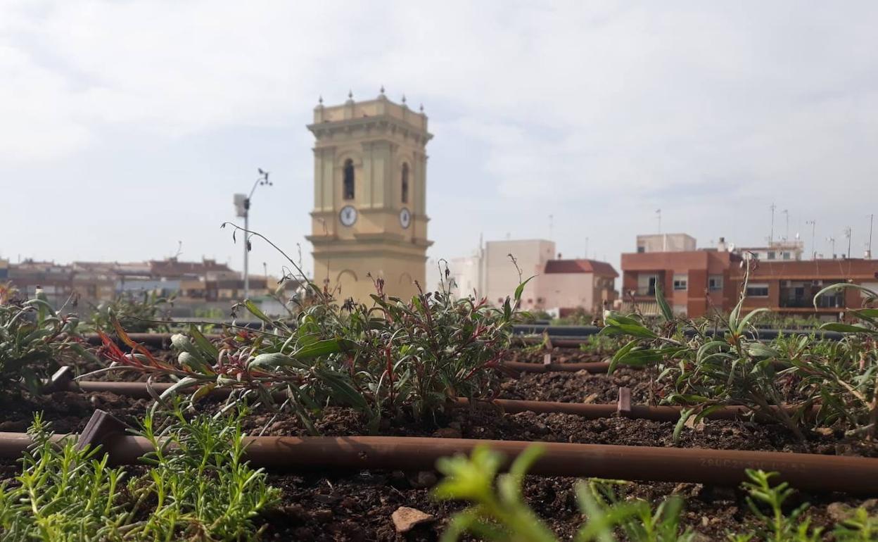 La cubierta vegetal del edificio del ayuntamiento. 