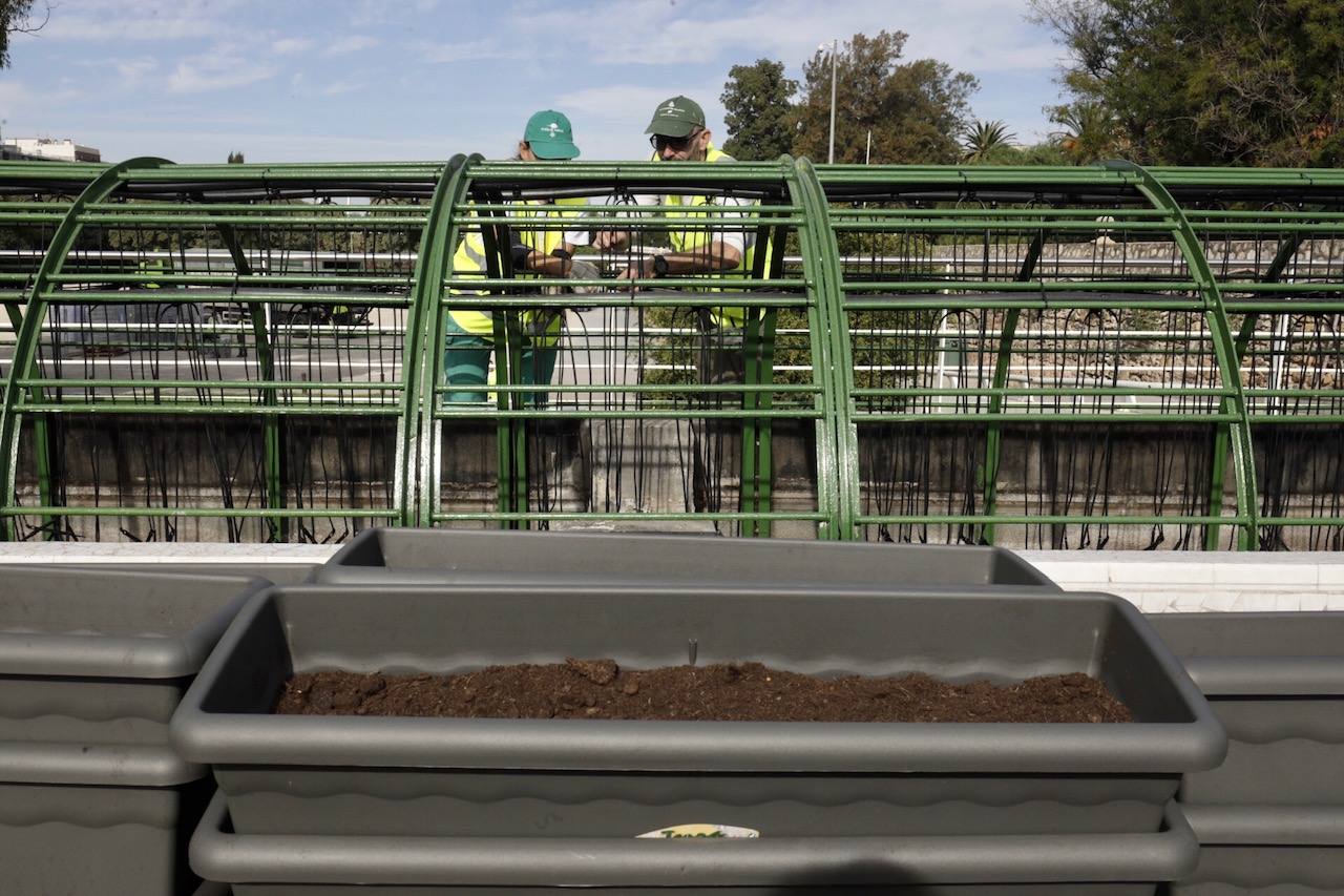Fotos: El Ayuntamiento de Valencia comienza la puesta en marcha del puente de las Flores