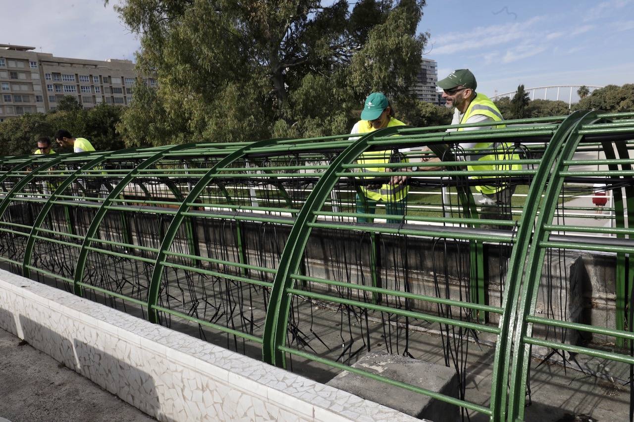 Fotos: El Ayuntamiento de Valencia comienza la puesta en marcha del puente de las Flores