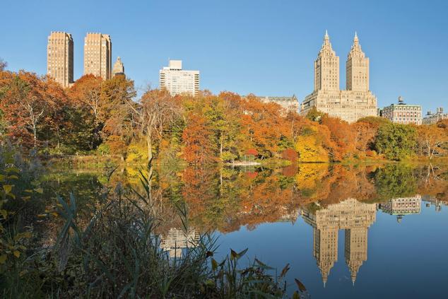 Central Park (Nueva York).