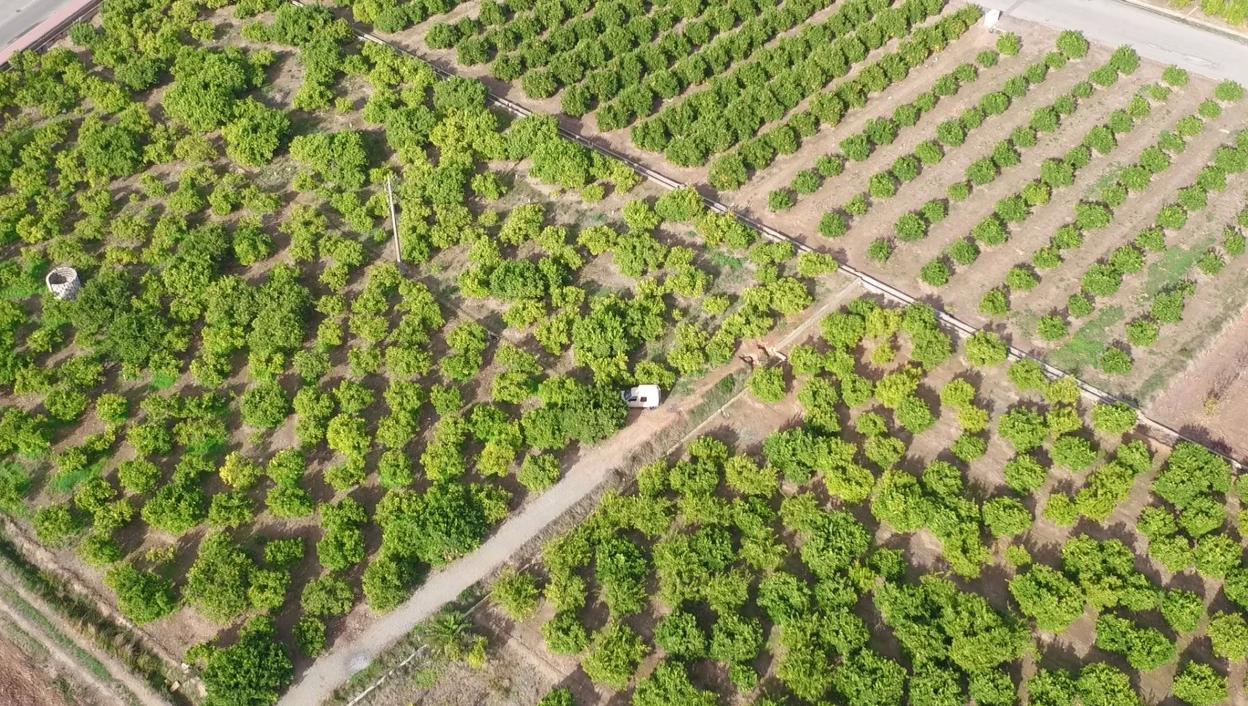 La Federació pide medidas para proteger el campo. 