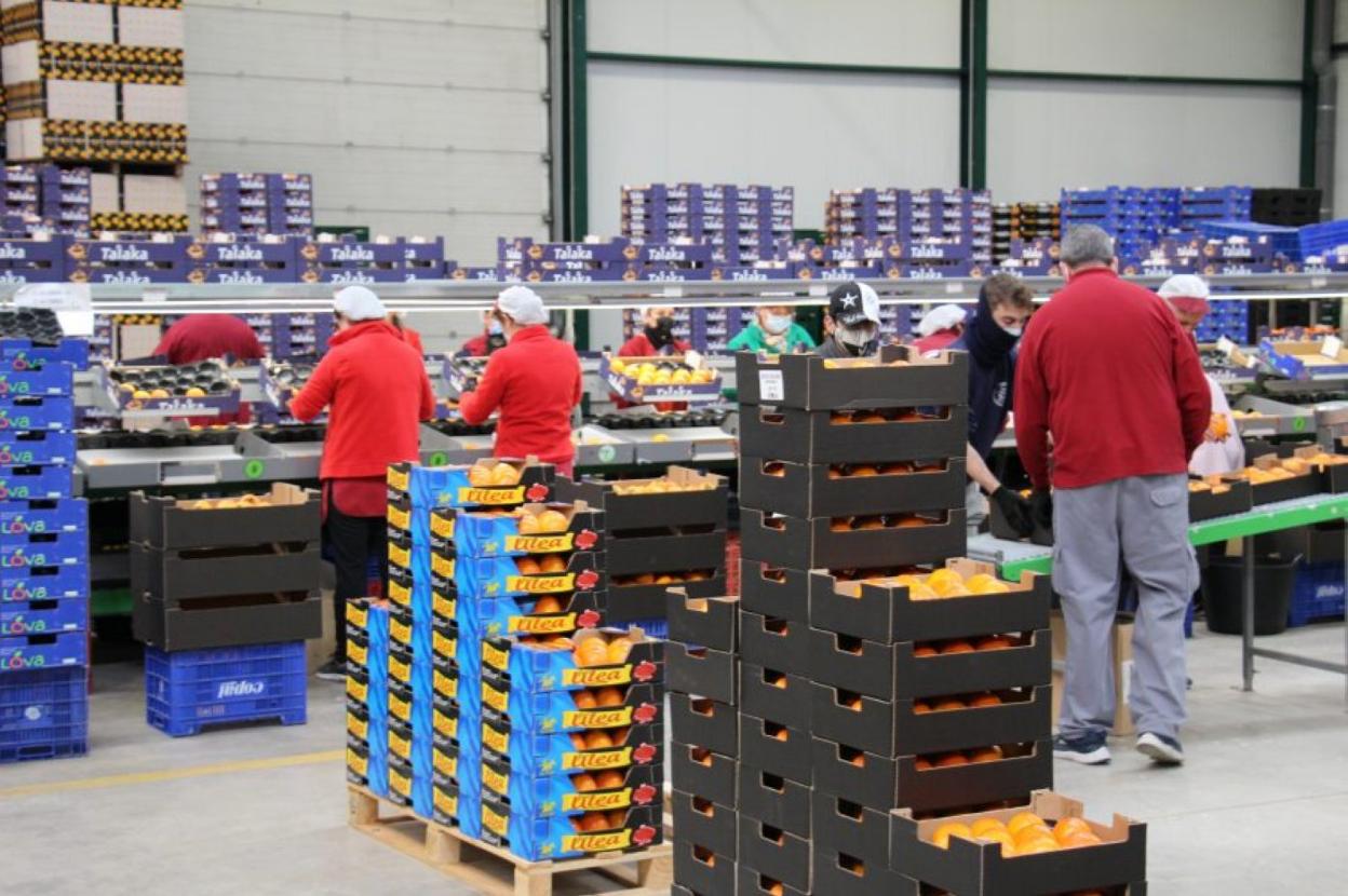La Generalitat destina un 12,5% más que en 2021. 