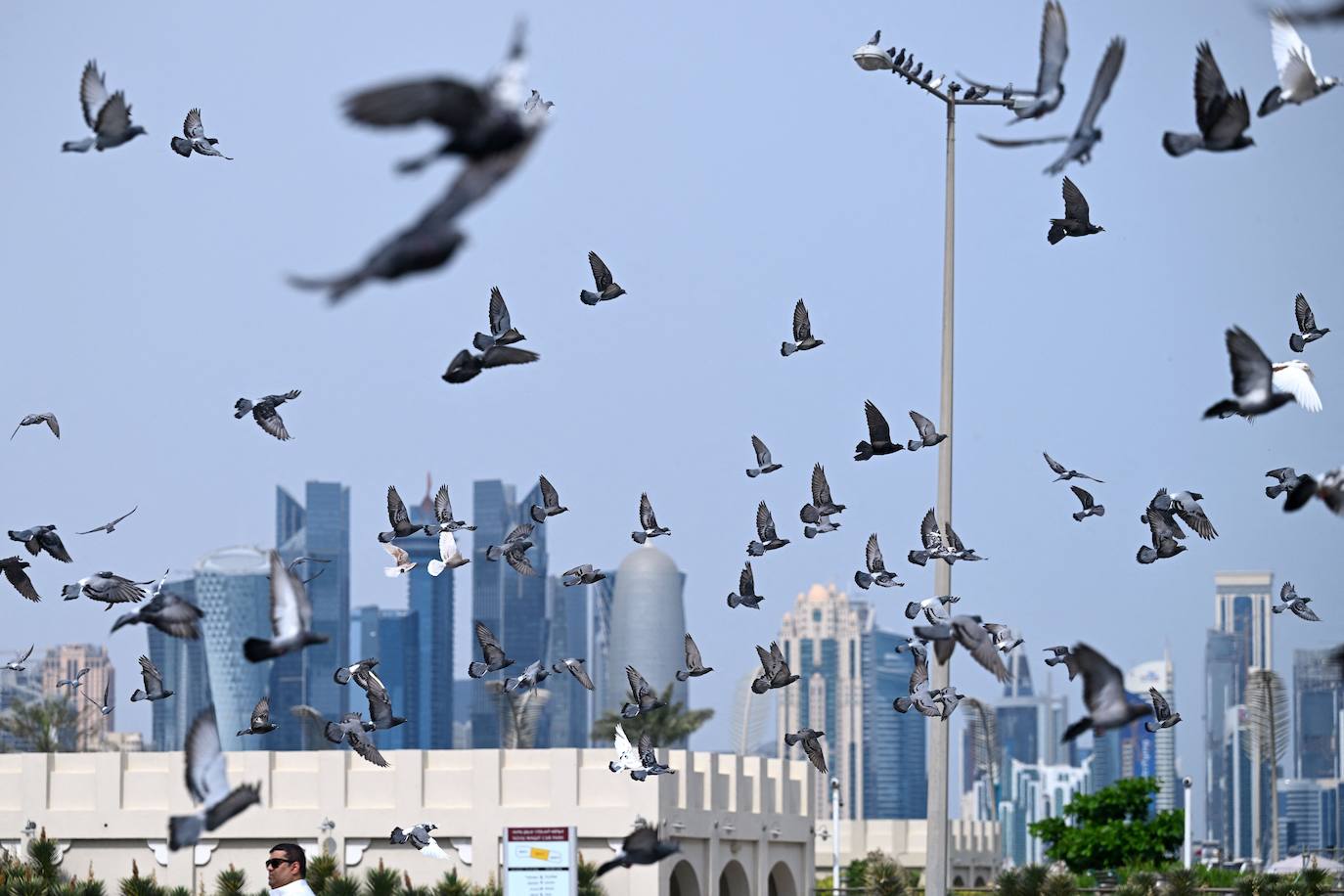 Fotos: Un paseo por Doha, la capital del lujo