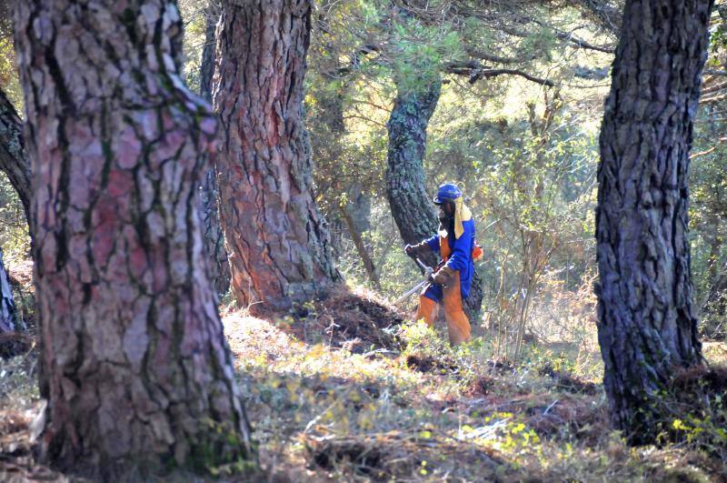 11,5 millones. Más inversión en prevención de incendios