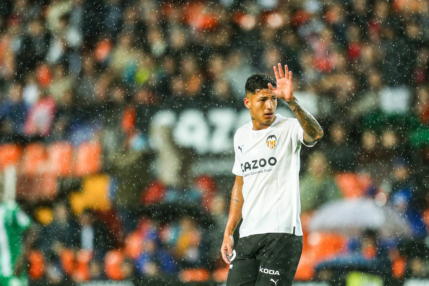 Fotos: Partido Valencia CF- Betis