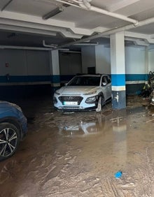 Imagen secundaria 2 - El campo del agricultor, el camino destrozado y el garaje inundado. 