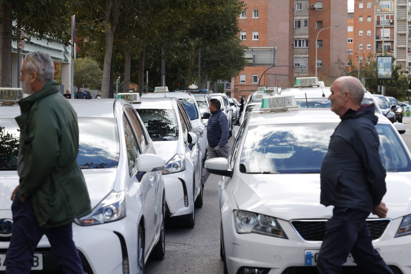 Fotos: Protesta de los taxistas en Valencia