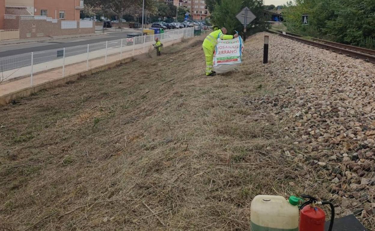 Un operario aplica el tratamiento contra las ratas en la zona. 