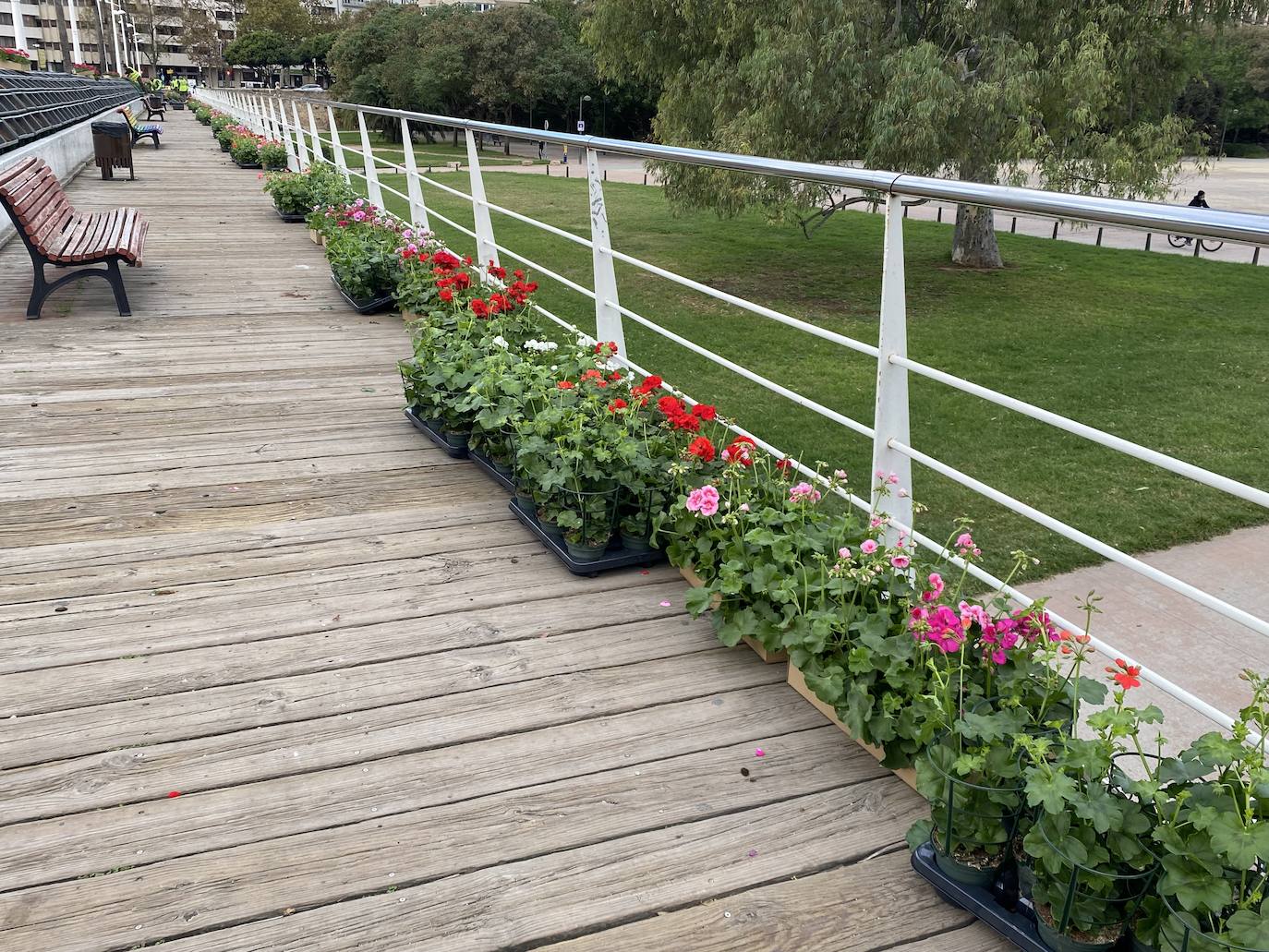 Fotos: El puente de las Flores de Valencia se pone a punto