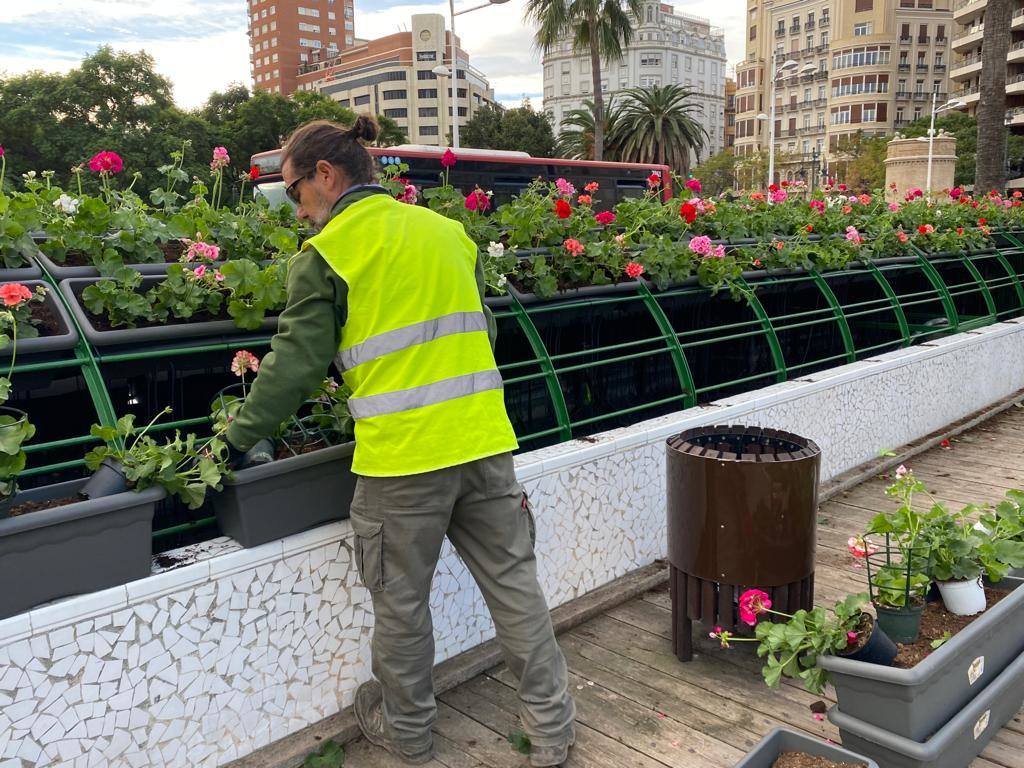 Fotos: El puente de las Flores de Valencia se pone a punto