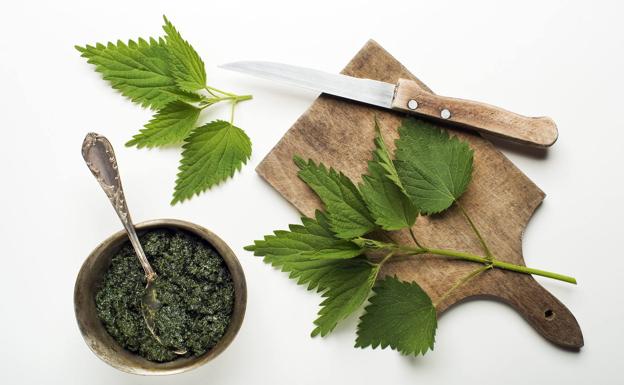 Cómo eliminar la celulitis: ortiga verde | La infusión que reduce la celulitis, combate el ácido úrico y tiene efectos positivos en la próstata