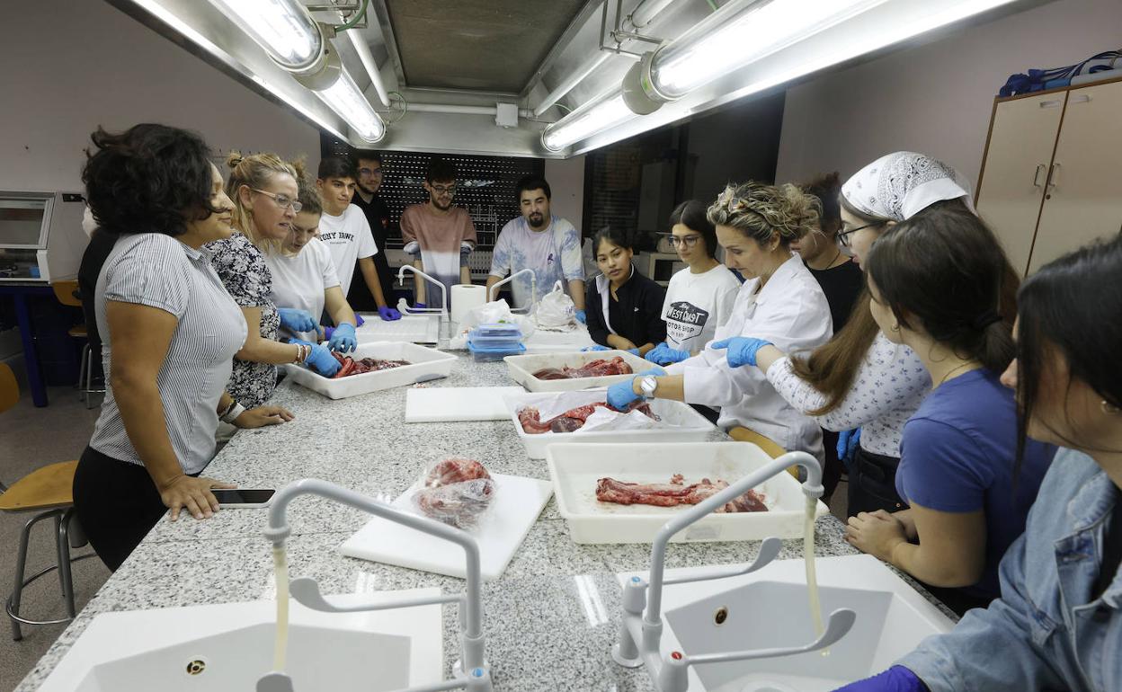 Alumnos del centro integrado de FP Ciutat de l'Aprenent de Valencia. 