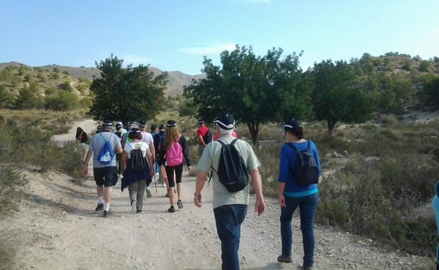 Excursionistas disfrutan de la ruta de senderismo. 