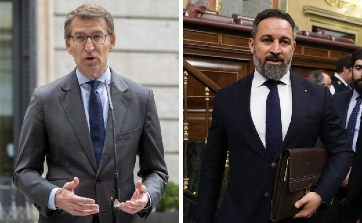 Alberto Núñez Feijóo y Santiago Abascal. 