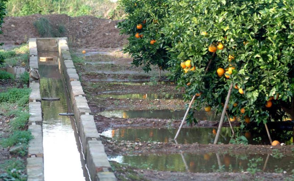 El hombre se había perdido entre un campo de naranjos y caído en una acequia. 