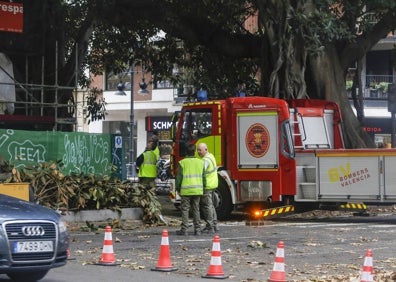 Imagen secundaria 1 - Actuación de poda de un ficus de la Gran Vía. 