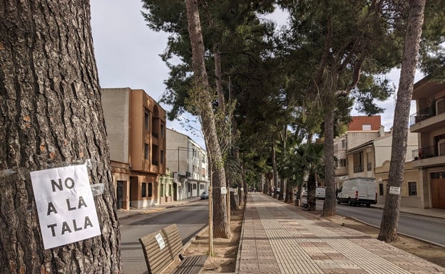 Imagen principal - Arriba, pinos pendientes de ser talados. Abajo, a la izquierda, tramo sin los ejemplares y, a la derecha, los trabajos actuales. 