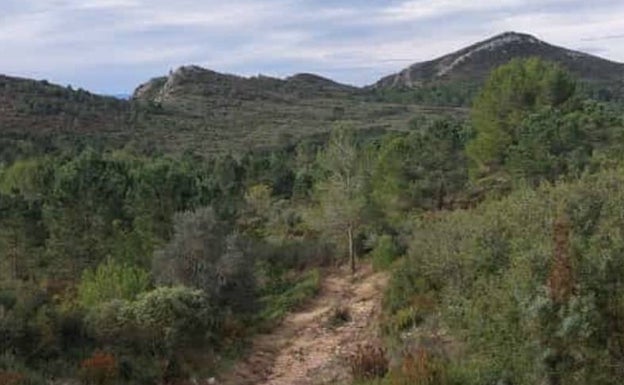 Una de las serpenteantes sendas hacia el ascenso. 