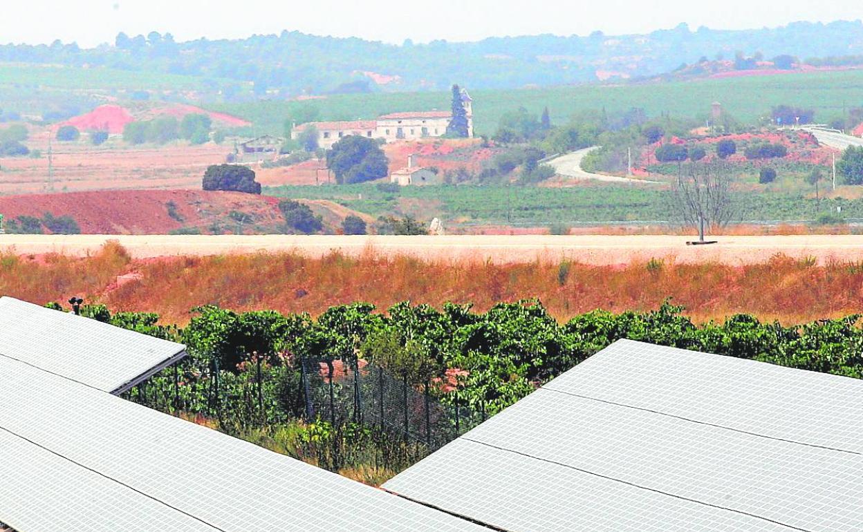 Paneles solares para la obtención de energía fotovoltaica en unos viñedos de Utiel-Requena. 