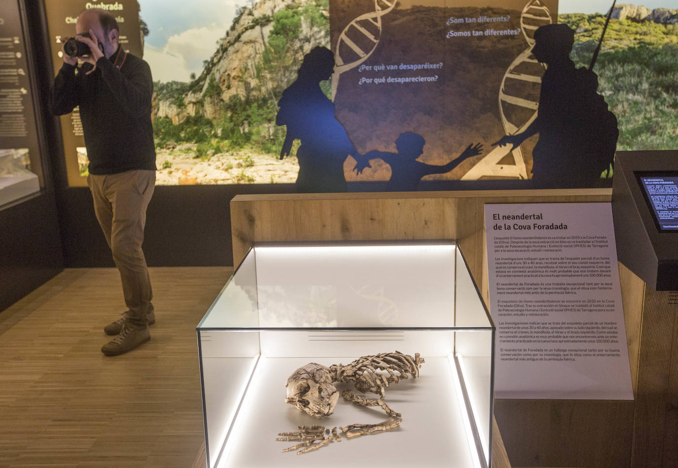 Fotos: Presentación del esqueleto neandertal en el museo de prehistoria de Valencia