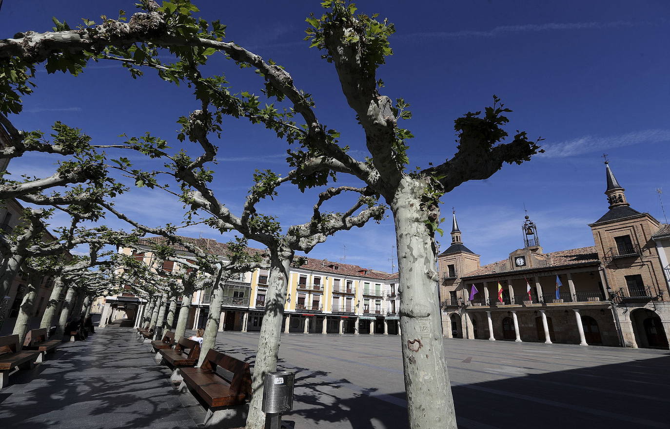 EL BURGO DE OSMA (Soria). Es el municipio de mayor población de los 6 que se unen al listado de Pueblos más bonitos de España, con 5.000 habitantes. Destacan su Castillo, el antiguo Hospital, la plaza Mayor y la Universidad.