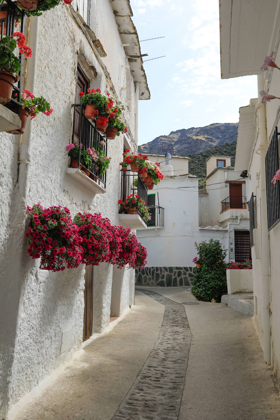 TREVÉLEZ (Granada). Este municipio de la Alpujarra forma parte ya de los más bonitos de España, aunque de forma popular ya se consideraba así. Conocido por sus jamones, su término municipal está enclavado en el parque nacional de Sierra Nevada y hay censadas más de 760 personas.