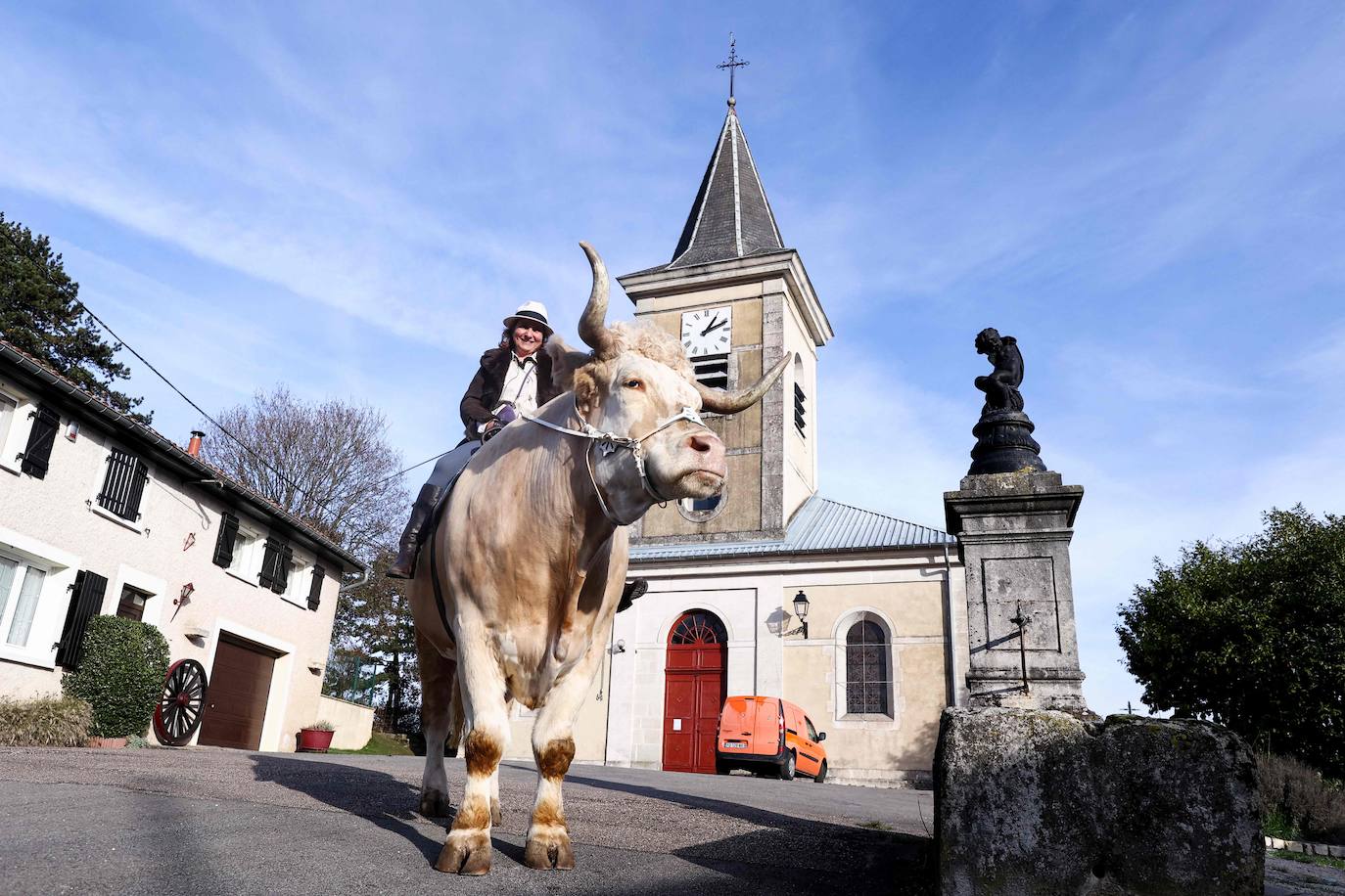 Fotos: Aston, el toro que se cree un caballo