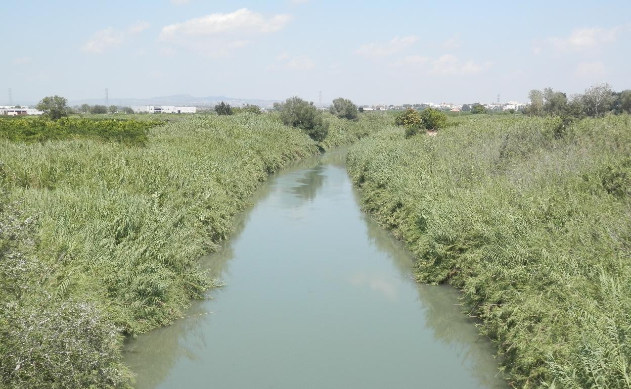 Rio Júcar a su paso por Alzira. 