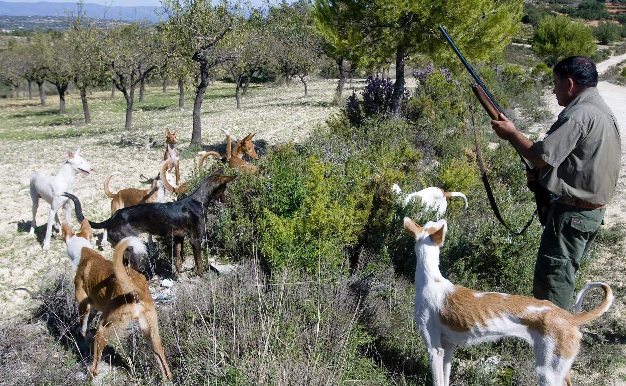 Un cazador con sus perros. 