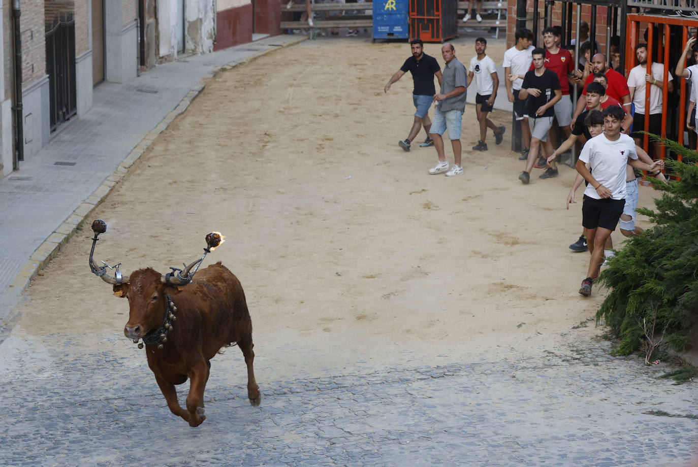 Bous al Carrer en Alboraia.