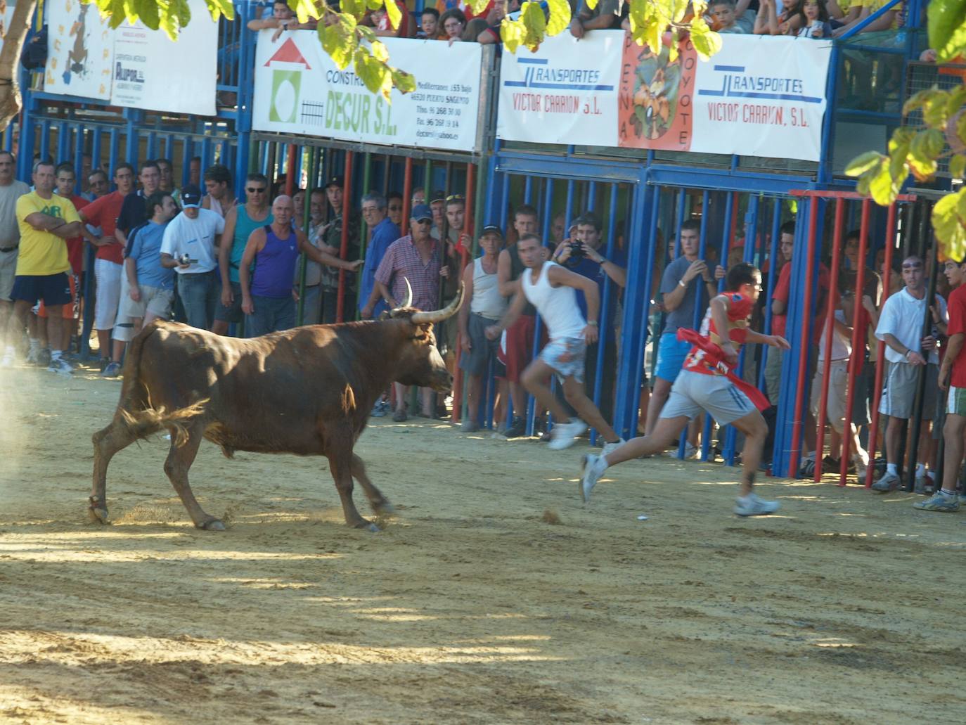 Bous en Puerto de Sagunto, en una imagen de archivo.