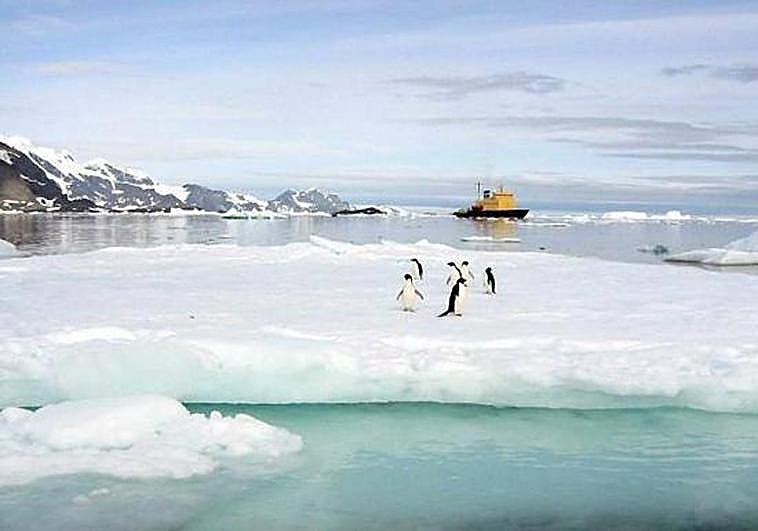 Sigue en directo el evento 'Estrategias de adaptación ante el cambio climático'