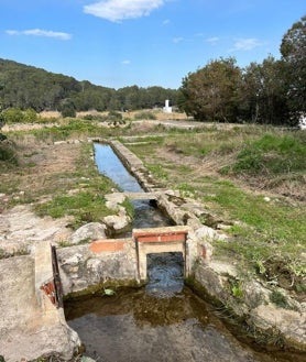 Imagen secundaria 2 - Imagen virtual de cómo será la zona verde, la balsa, llena de maleza, y otro tramo de acequia. 