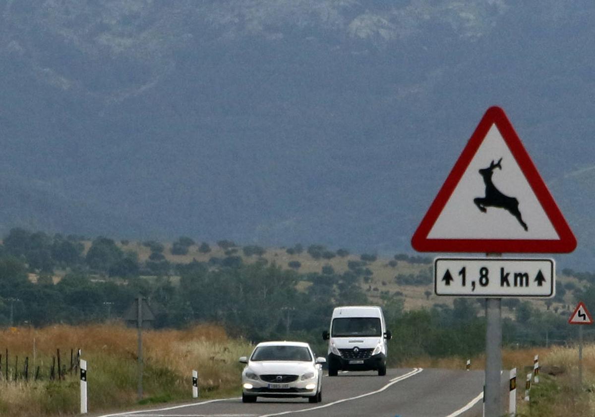 La multa de la DGT por no cumplir la regla del 'RSM' y las dos excepciones permitidas