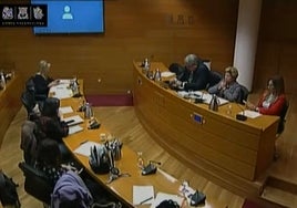 Comisión en Les Corts, con el monitor sin conexión y sin escuchar al compareciente.