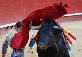 Un momento de la corrida