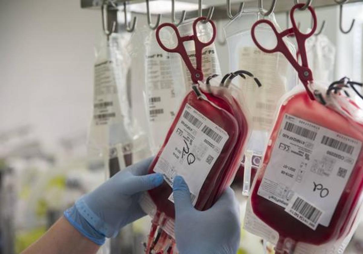 Más de un millar de universitarios participarán en la nueva maratón de donación de sangre de la UA